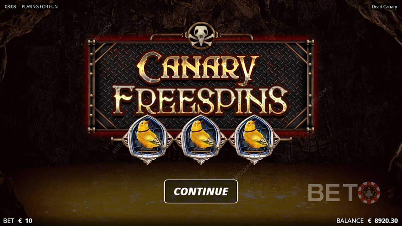 Canary Free Spins, bu casino oyununun en güçlü özelliğidir
