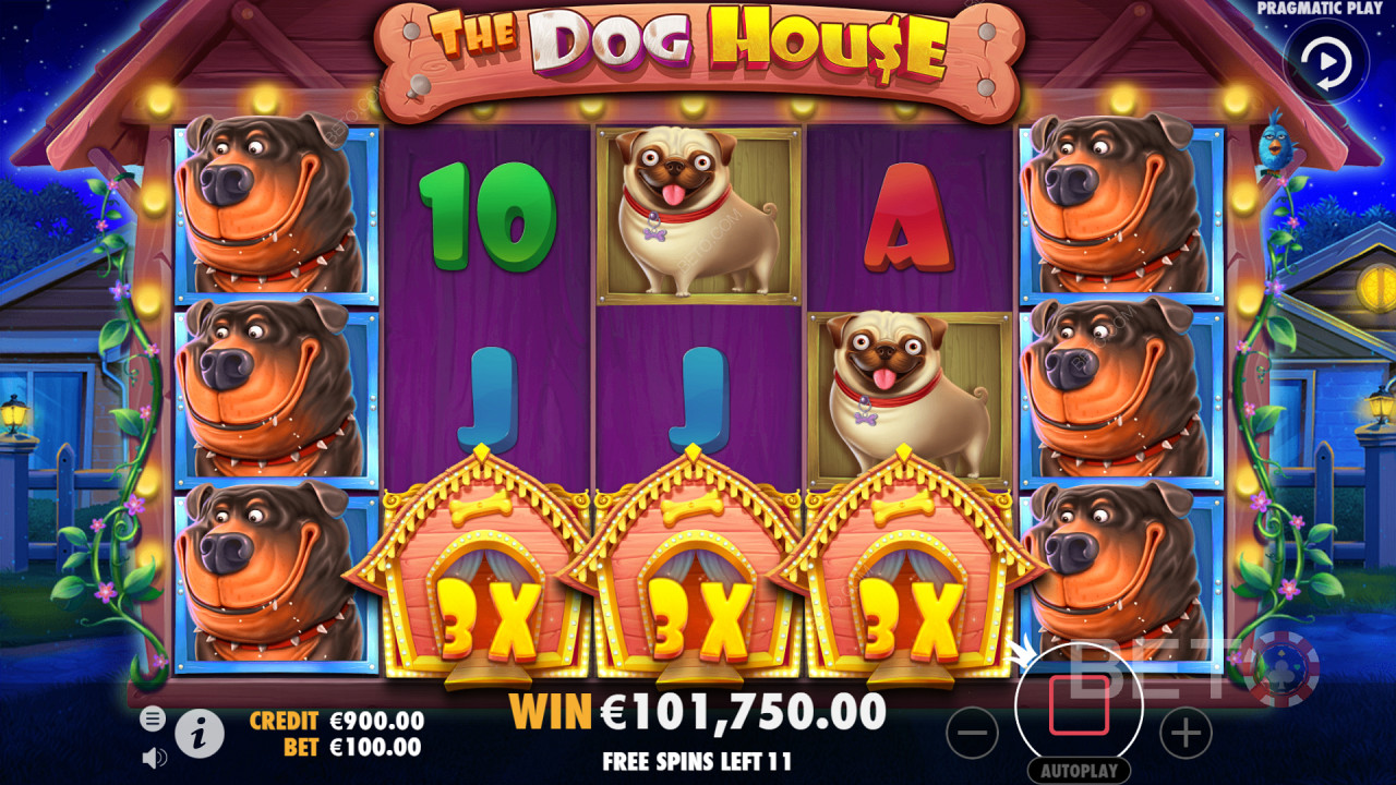 The Dog House - Çok samimi ve popüler bir slot