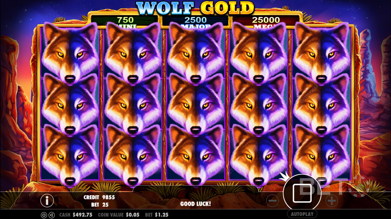 Wolf Gold Scatter sembolü Free Spin turunu tetikler