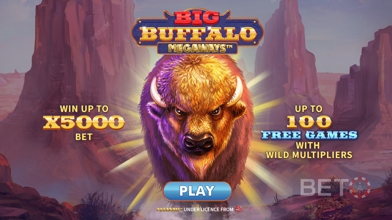 Bahsinizin 5.000 katına kadar kazanın Big Buffalo Megaways