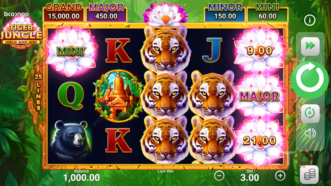 Oyuncular bu slotun Bonus Oyun turu sırasında 4 farklı jackpot kazanabilirler