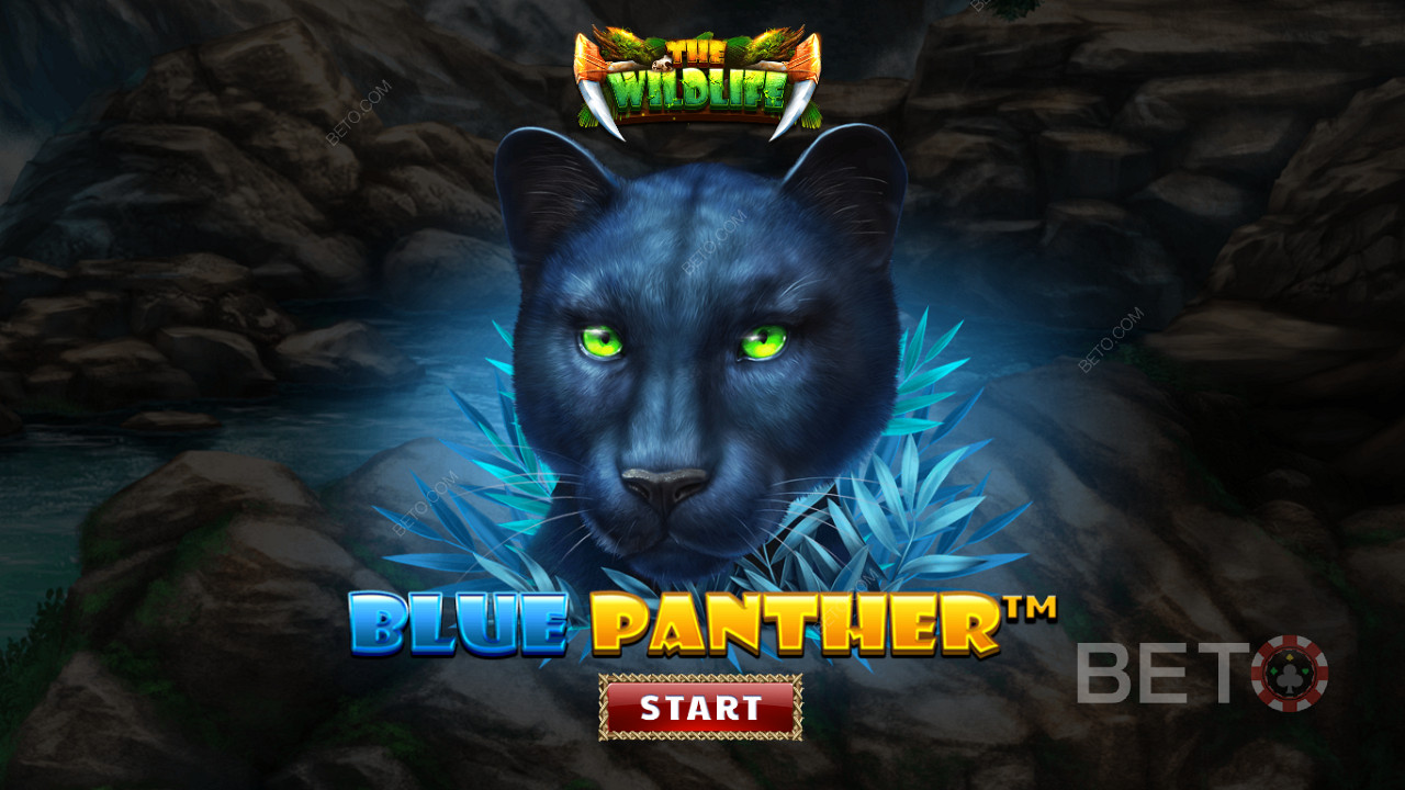 Mavi Panter slotunun gece canavarları arasında ormanda dolaşın