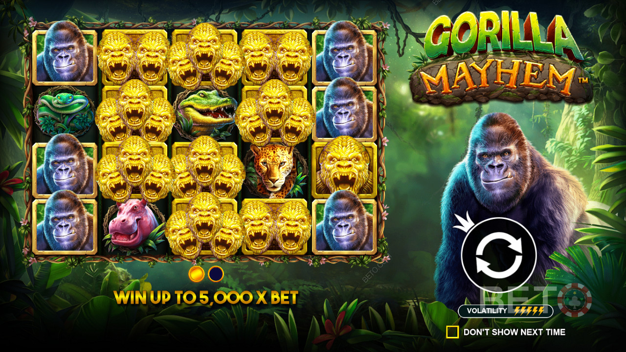 Altın Goril sembolleri Gorilla Mayhem slotunda önemli bir rol oynar